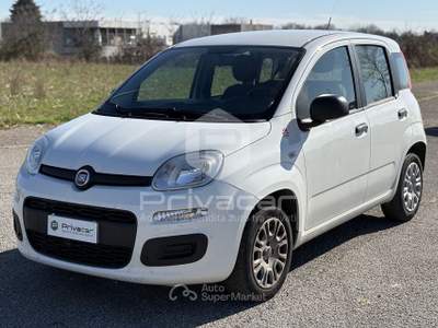 Fiat Panda FIAT Panda 1.2 EasyPower Easy Bianco usata QUINTO DI TREVISO Fiat Panda FIAT Panda 1.2 EasyPower Easy Bianco usata QUINTO DI TREVISO