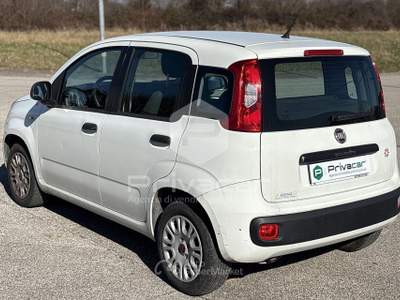 Fiat Panda FIAT Panda 1.2 EasyPower Easy Bianco usata QUINTO DI TREVISO