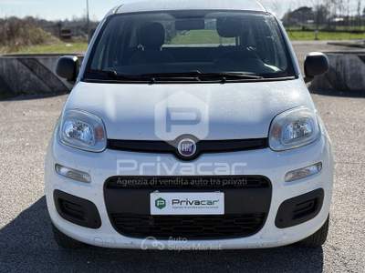 Fiat Panda FIAT Panda 1.2 EasyPower Easy Bianco usata QUINTO DI TREVISO