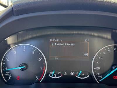 Ford EcoSport 1.0 Ecoboost 125cv S&S ST-Line Bianco usata San Giuseppe Vesuviano