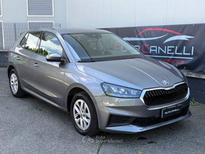 Skoda Fabia 65 CV Ambition PREZZO REALE NEOPATENTATI Grigio usata Alessandria