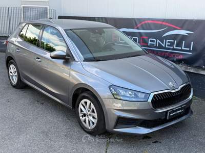Skoda Fabia 65 CV Ambition PREZZO REALE NEOPATENTATI Grigio usata Alessandria