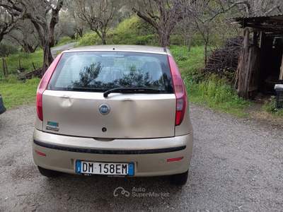 Fiat Punto Motore perfetto Beige usata Marina di Gioiosa Jonica