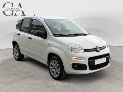 Fiat Panda 0.9 t.air t. natural power Easy 80cv usata Rovigo