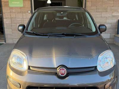 Fiat Panda Panda III 2021 1.0 firefly hybrid s Grigio usata Grottaglie