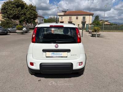 Fiat Panda VETTURA DEL MERCATO ITALIANO Bianco usata SANT'AGATA DE'  GOTI