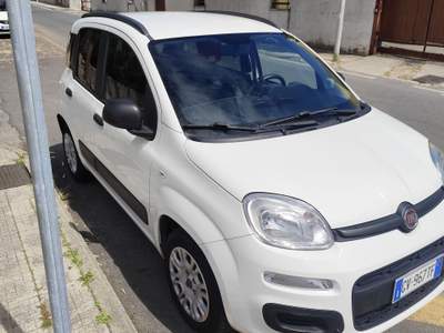 Fiat Panda Unico proprietario.nessun lavoro da fare usata Nettuno