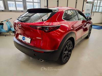 Mazda CX-30 CX-30 2.0 m-hybrid Homura 2wd 122cv 6mt Rosso usata Torino