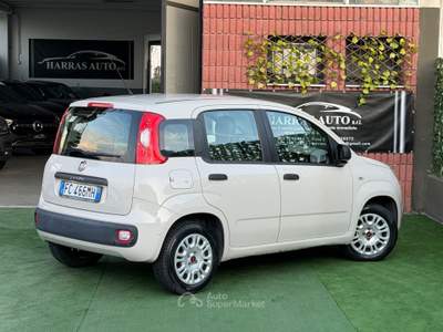 Fiat Panda Lounge Giallo usata Fontanella