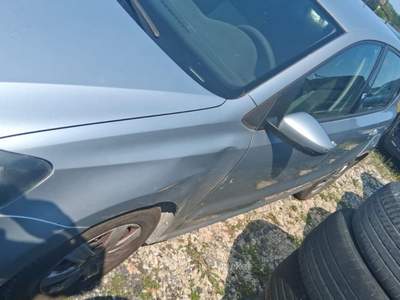 Volkswagen Polo 1.6 TDI DPF 5 porte Comfortline PROBLEM INIETTORE Argento usata Sant'Angelo in vado