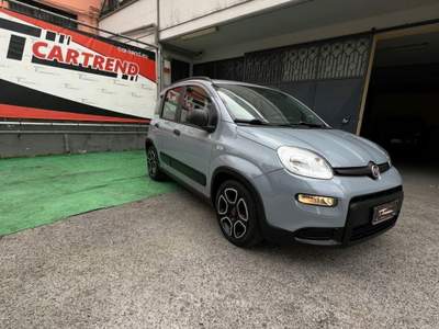 Fiat Panda FireFly S&S Hybrid City Life Grigio usata Cercola