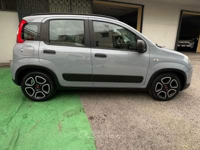 Fiat Panda FireFly S&S Hybrid City Life Grigio usata Cercola