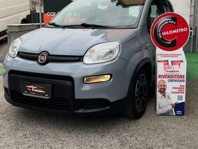Fiat Panda FireFly S&S Hybrid City Life Grigio usata Cercola