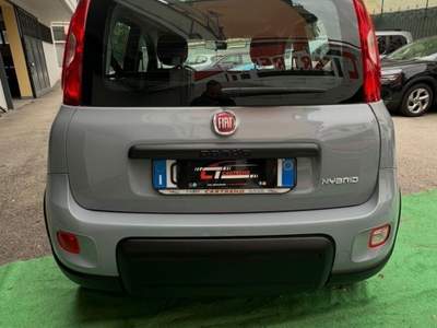 Fiat Panda FireFly S&S Hybrid City Life Grigio usata Cercola