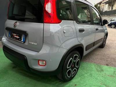 Fiat Panda FireFly S&S Hybrid City Life Grigio usata Cercola