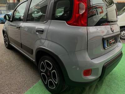 Fiat Panda FireFly S&S Hybrid City Life Grigio usata Cercola