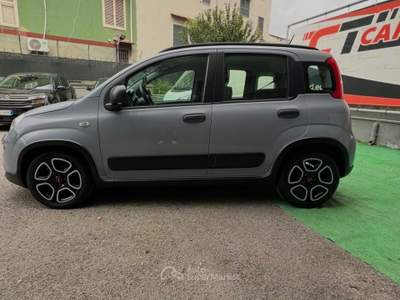 Fiat Panda FireFly S&S Hybrid City Life Grigio usata Cercola