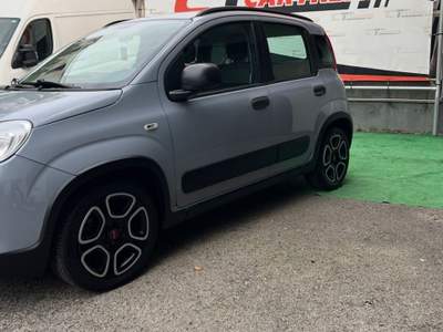 Fiat Panda FireFly S&S Hybrid City Life Grigio usata Cercola