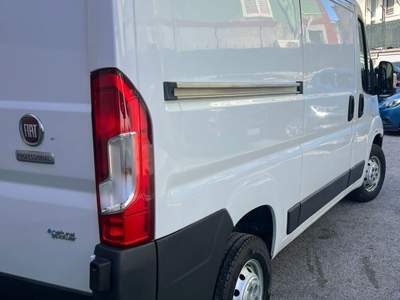 Fiat Ducato passo corto Bianco usata Cercola