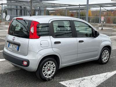 Fiat Panda EasyPower Lounge Grigio usata Torino