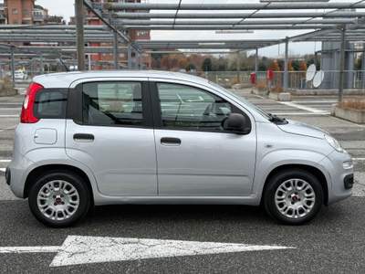 Fiat Panda EasyPower Lounge Grigio usata Torino