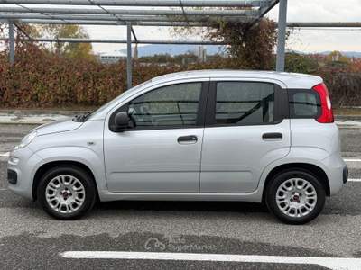 Fiat Panda EasyPower Lounge Grigio usata Torino