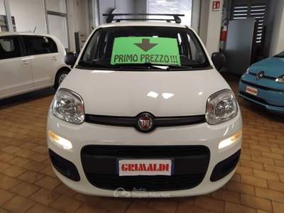 Fiat Panda 1.2 B/GPL Pop Bianco usata Vigevano