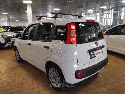 Fiat Panda 1.2 B/GPL Pop Bianco usata Vigevano