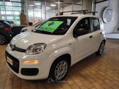 Fiat Panda 1.2 B/GPL Pop Bianco usata Vigevano