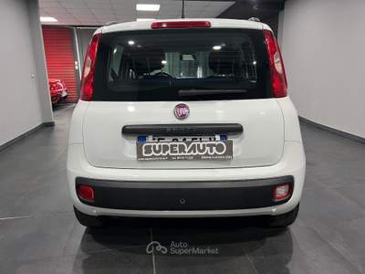 Fiat Panda 1.3 MJT 95 CV S&S Lounge Bianco usata Atena lucana