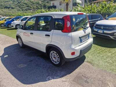 Fiat Panda 1.0 FireFly S&S Hybrid Bianco usata Arco