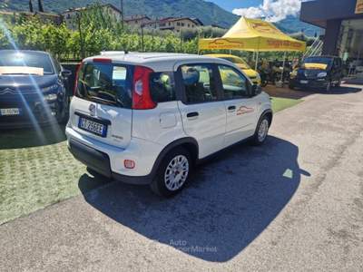 Fiat Panda 1.0 FireFly S&S Hybrid Bianco usata Arco