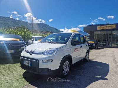 Fiat Panda 1.0 FireFly S&S Hybrid Bianco usata Arco