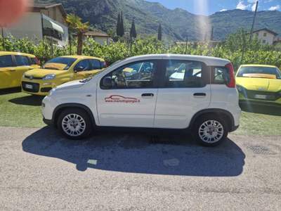 Fiat Panda 1.0 FireFly S&S Hybrid Bianco usata Arco