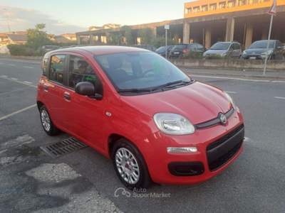 Fiat Panda 1.2 GPL 69cv - UNIPRO TAGLIANDATA Rosso usata Ciampino
