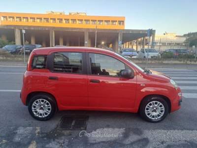 Fiat Panda 1.2 GPL 69cv - UNIPRO TAGLIANDATA Rosso usata Ciampino