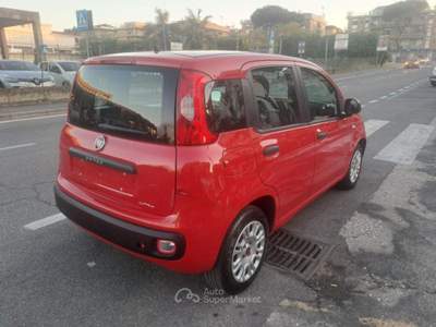 Fiat Panda 1.2 GPL 69cv - UNIPRO TAGLIANDATA Rosso usata Ciampino