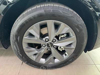 Kia Sportage 1.6 TGDi HEV AWD AT GT-line Plus Grigio usata Pesaro