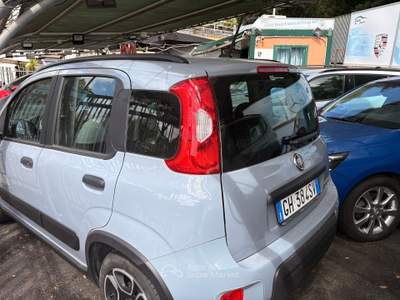 Fiat Panda Fiat Panda Grigio usata Roma