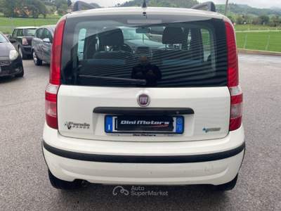 Fiat Panda 1.2 Dynamic Natural Power METANO OK NEOPATENTATO Bianco usata Sant'Angelo in vado