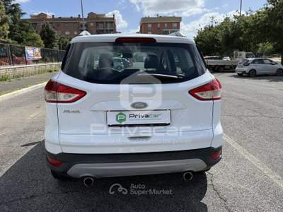 Ford Kuga FORD Kuga 2.0 TDCI 120 CV S&S 2WD Plus Bianco usata Roma