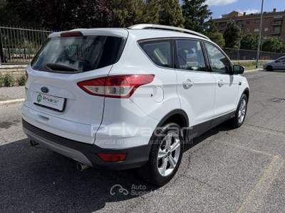 Ford Kuga FORD Kuga 2.0 TDCI 120 CV S&S 2WD Plus Bianco usata Roma