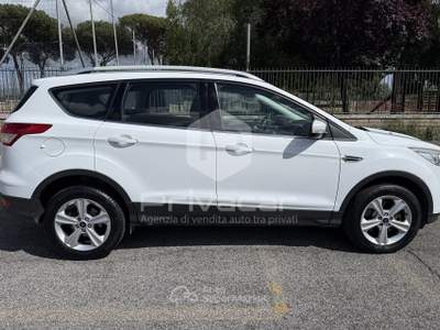 Ford Kuga FORD Kuga 2.0 TDCI 120 CV S&S 2WD Plus Bianco usata Roma