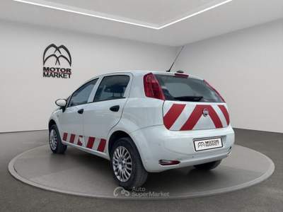 Fiat Punto 1.4 Natural Power Lounge Bianco usata Roma