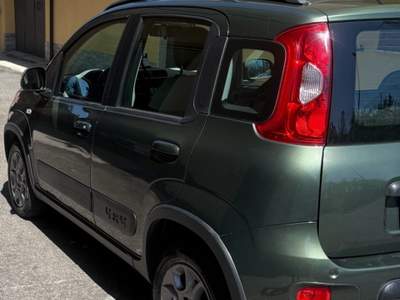 Fiat Panda Fiat Panda 4x4 Verde usata Scandale
