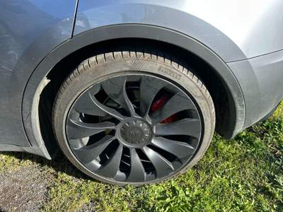 Tesla Model Y  - model y performance dual motor awd Grigio usata Roma