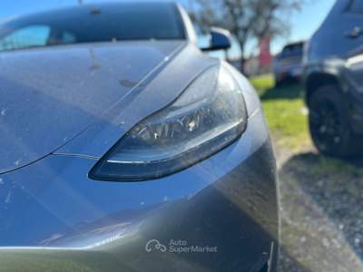 Tesla Model Y  - model y performance dual motor awd Grigio usata Roma