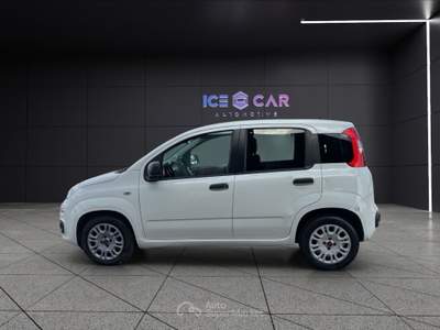 Fiat Panda Panda 1.3 mjt s&s easy Bianco usata Roma