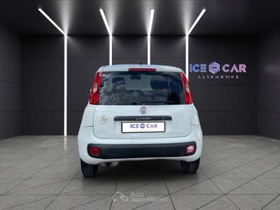 Fiat Panda Panda 1.3 mjt s&s easy Bianco usata Roma
