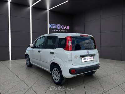 Fiat Panda Panda 1.3 mjt s&s easy Bianco usata Roma